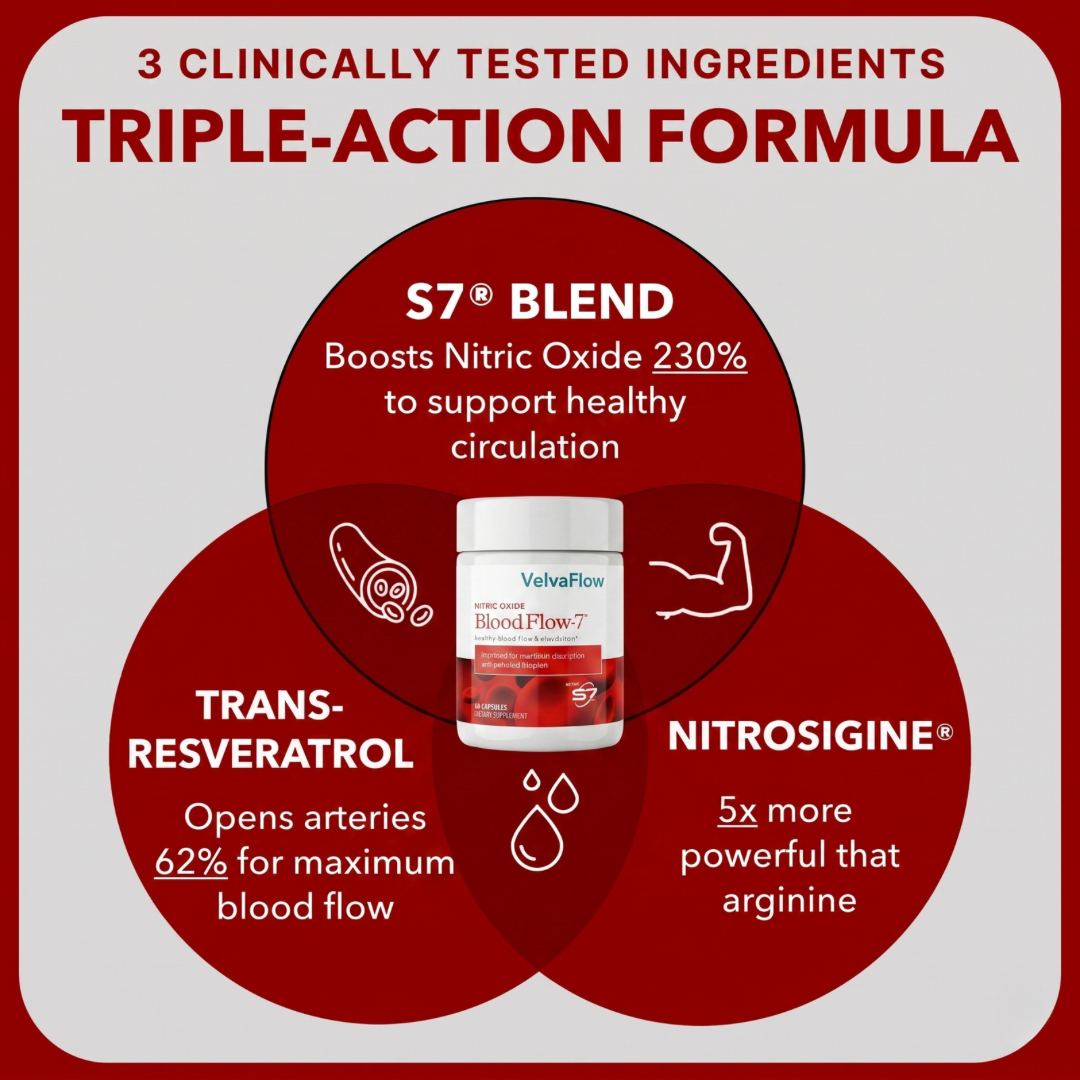 VelvaFlow BloodFlow-7 Nitric Oxide - Natural Dietary/Fitness Supplement for Healthy Blood Pressure & Muscle Support